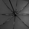 Велика парасолька-тростина полуатомат FAMILY картинка 6