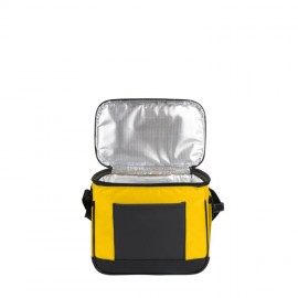 Термосумка Coolerbag S