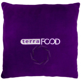 TERRA FOOD