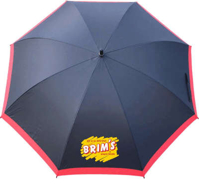 Зонты с логотипом Киев